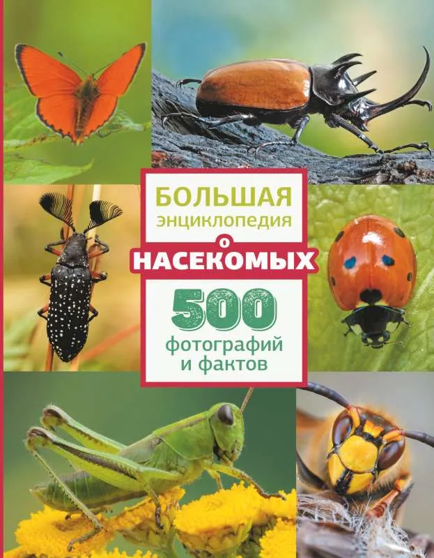 9785171477585_0.webp Большая энциклопедия о насекомых. 500 фотографий и фактов. СПЕКТОР А.А.