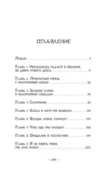 Звездная ночь, звездное море: роман — изображение 3