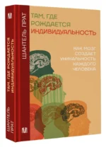 Там, где рождается индивидуальность. Как мозг создает уникальность каждого человека — изображение 3