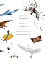 Полеты воображения — изображение 6