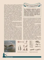 Большая энциклопедия. Рыбалка — изображение 16