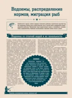 Большая энциклопедия. Рыбалка — изображение 6