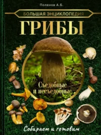 Большая энциклопедия. Грибы. Съедобные и несъедобные. Собираем и готовим.. ПОЛЕНОВ А.Б.