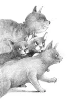 Кот Тихон, или Похищение Голландца — изображение 4