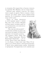 Кот Тихон, или Похищение Голландца — изображение 9