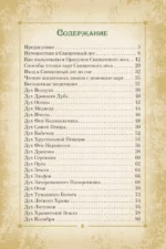 Оракул Священный лес. Таро (52 карты), гадания и знаки. Медитации в подарок — изображение 6