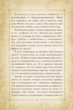 Оракул Священный лес. Таро (52 карты), гадания и знаки. Медитации в подарок — изображение 9