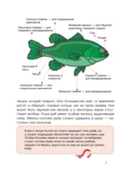 Рыбалка — изображение 10
