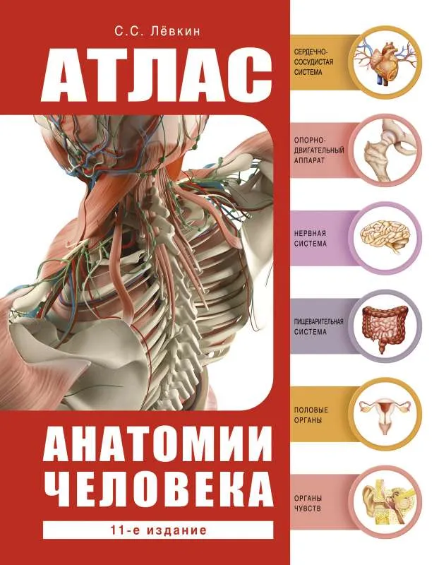 9785171501402_0.webp Атлас анатомии человека. ЛЁВКИН С.С.