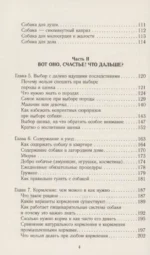 Чушь собачья. Как не испортить удовольствие от появления собаки в твоей жизни — изображение 5