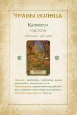 Оракул. Магия звезд и растений. Таро, гадания и знаки (55 карт и руководство) — изображение 12