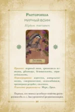 Оракул. Магия звезд и растений. Таро, гадания и знаки (55 карт и руководство) — изображение 15