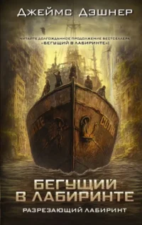 Разрезающий лабиринт. Джеймс Дэшнер