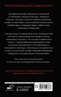 Разрезающий лабиринт — Зарубежная фантастика, фэнтези