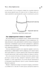 Кишечник работает. Мы отдыхаем — изображение 9