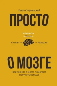 Просто о мозге. Как знания о мозге помогают получить больше. СКИРНЕВСКИЙ К.