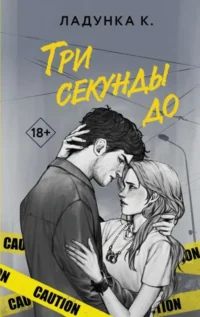 Три секунды до. ЛАДУНКА К.В.