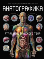 Анатографика. Атлас человеческого тела. Томас Маккракен