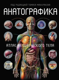 Анатографика. Атлас человеческого тела. Томас Маккракен