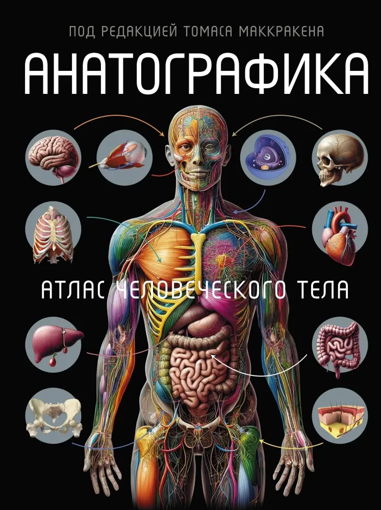 9785171521080_0.webp Анатографика. Атлас человеческого тела. Томас Маккракен