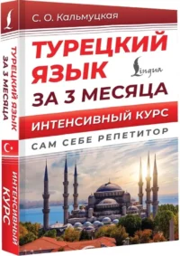 Турецкий язык за 3 месяца. Интенсивный курс — Учебные пособия