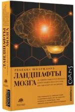 Ландшафты мозга — изображение 2