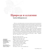 Истории Фриды: Жизнь и приключения Фриды Кало, бунтарки и изгоя — изображение 12
