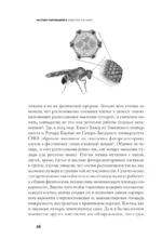 Простое начало — изображение 13