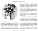 Собор Парижской богоматери — изображение 4