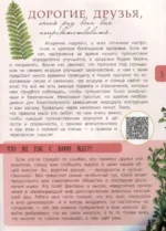 Динозавры. Путешествие в прошлое — изображение 4
