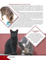 Самая лучшая иллюстрированная энциклопедия. Кошки — изображение 11