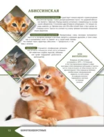 Самая лучшая иллюстрированная энциклопедия. Кошки — изображение 13