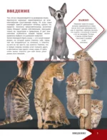 Самая лучшая иллюстрированная энциклопедия. Кошки — изображение 4
