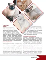 Самая лучшая иллюстрированная энциклопедия. Кошки — изображение 6