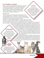 Самая лучшая иллюстрированная энциклопедия. Кошки — изображение 8