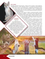 Самая лучшая иллюстрированная энциклопедия. Кошки — изображение 9
