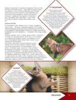 Самая лучшая иллюстрированная энциклопедия. Кошки — изображение 10