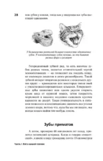 Ловушка эволюции. Почему наше тело болит — изображение 14
