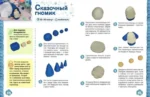 Школа пластилина. Развиваем мозг ребенка — изображение 4