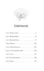 Зеркальные города-близнецы. Книга 2 — изображение 3