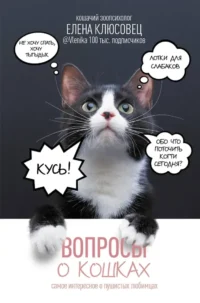Вопросы о кошках. Самое интересное о пушистых любимцах. Елена Клюсовец