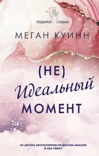 Неидеальный момент. Меган Куинн