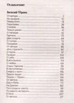 Василий Тёркин — изображение 2