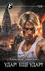 Удар! Ещё Удар!!. Александр Гаврилов