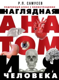 Наглядная анатомия человека. Подробный атлас с иллюстрациями. САМУСЕВ Р.П.