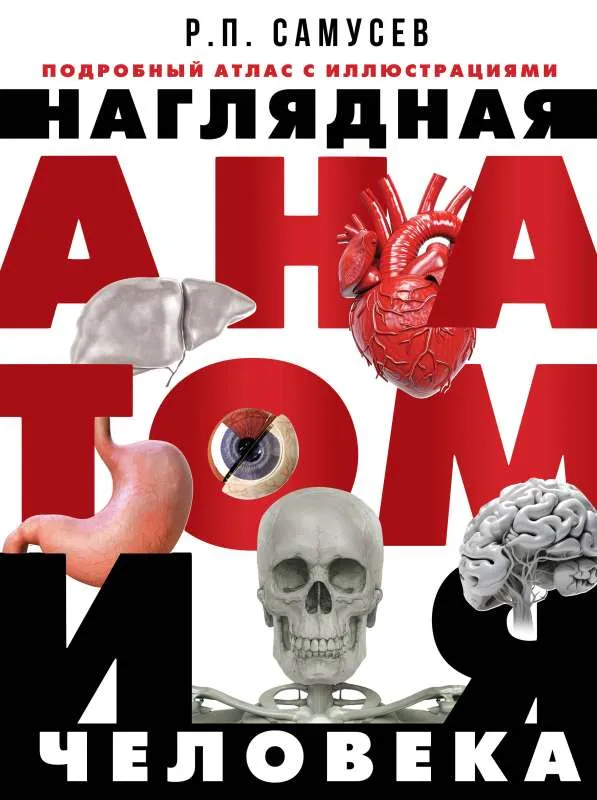9785171570675_0.webp Наглядная анатомия человека. Подробный атлас с иллюстрациями. САМУСЕВ Р.П.