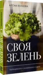 Своя зелень. Выращиваем, ухаживаем и едим — изображение 4