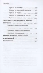 Любимый цветник. Простые шаги для создания декоративного сада — изображение 3