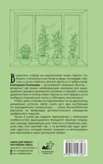 Огород на подоконнике. Идеальный урожай не выходя из дома — изображение 4