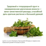 Огород на подоконнике. Идеальный урожай не выходя из дома — изображение 5